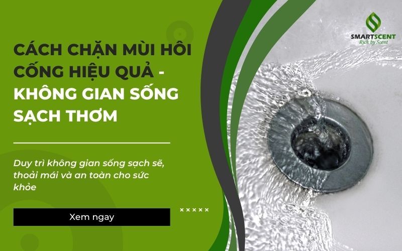 Nắp đậy cống chống mùi